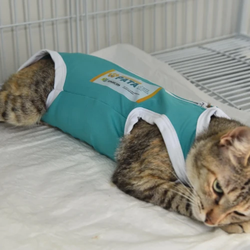 Foto Jhonney Macena Secom Aparecida