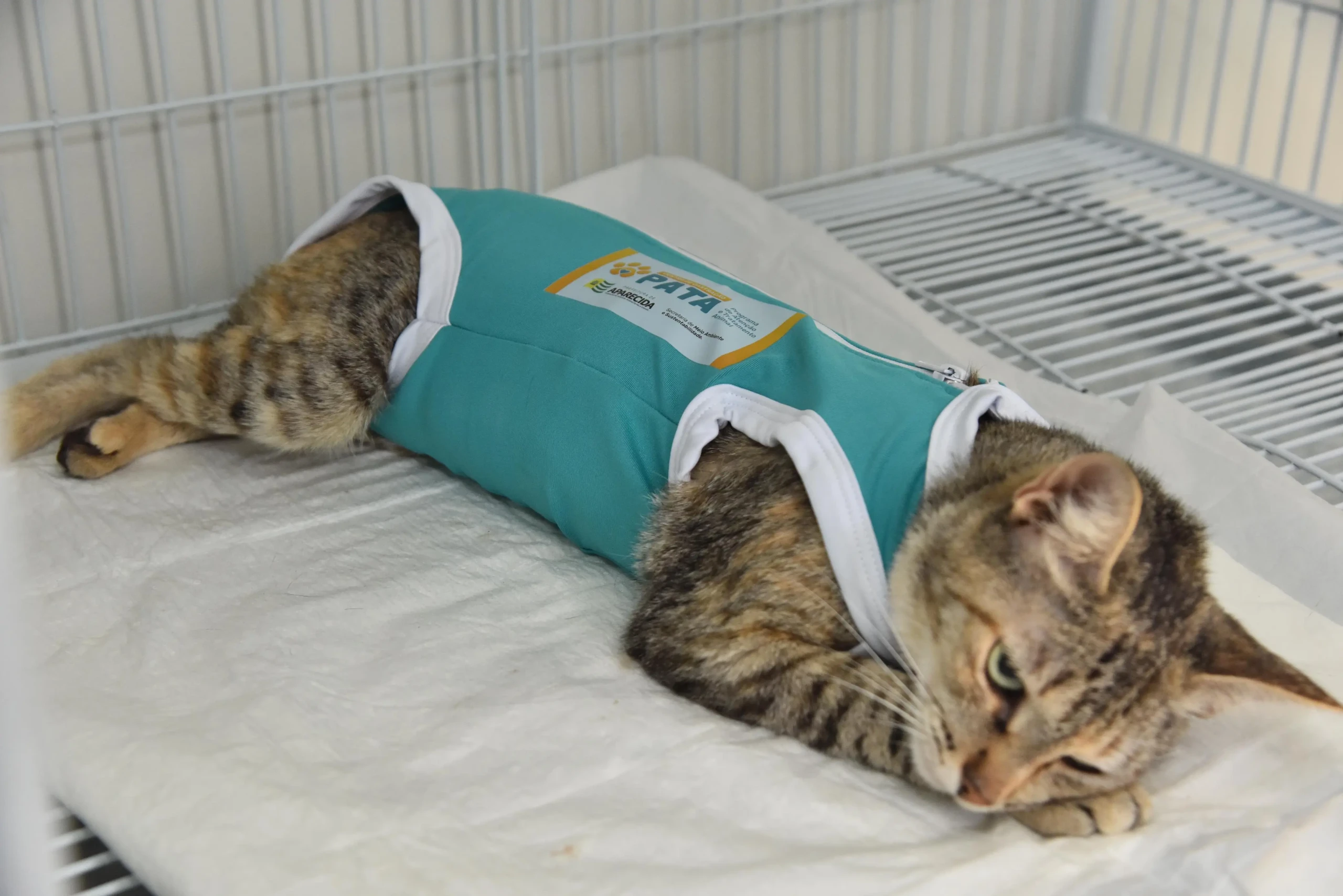 Foto Jhonney Macena Secom Aparecida