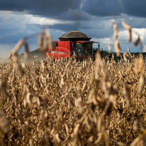 AGRODEFESA-ABERTURA-ESTADUAL-DA-COLHEITA-DA-SOJA-POR-WENDERSON-ARAUJO-CNA1-1215x810