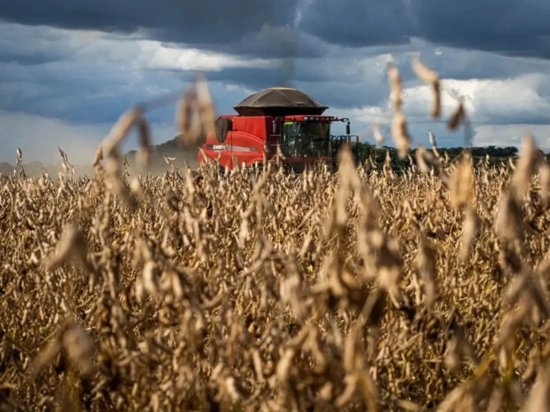 AGRODEFESA-ABERTURA-ESTADUAL-DA-COLHEITA-DA-SOJA-POR-WENDERSON-ARAUJO-CNA1-1215x810