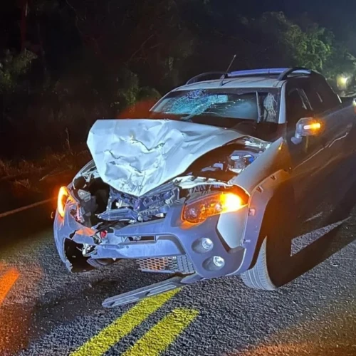 Grave acidente entre Caldas Novas e Ipameri deixa dois mortos na GO-213