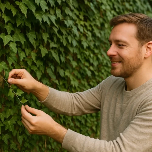 5 dicas para cobrir muros com Hera de forma rápida e sem esforço