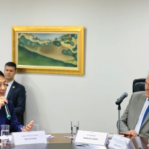 Caiado e embaixador do Japão discutem parceria para exploração de terras raras em Goiás