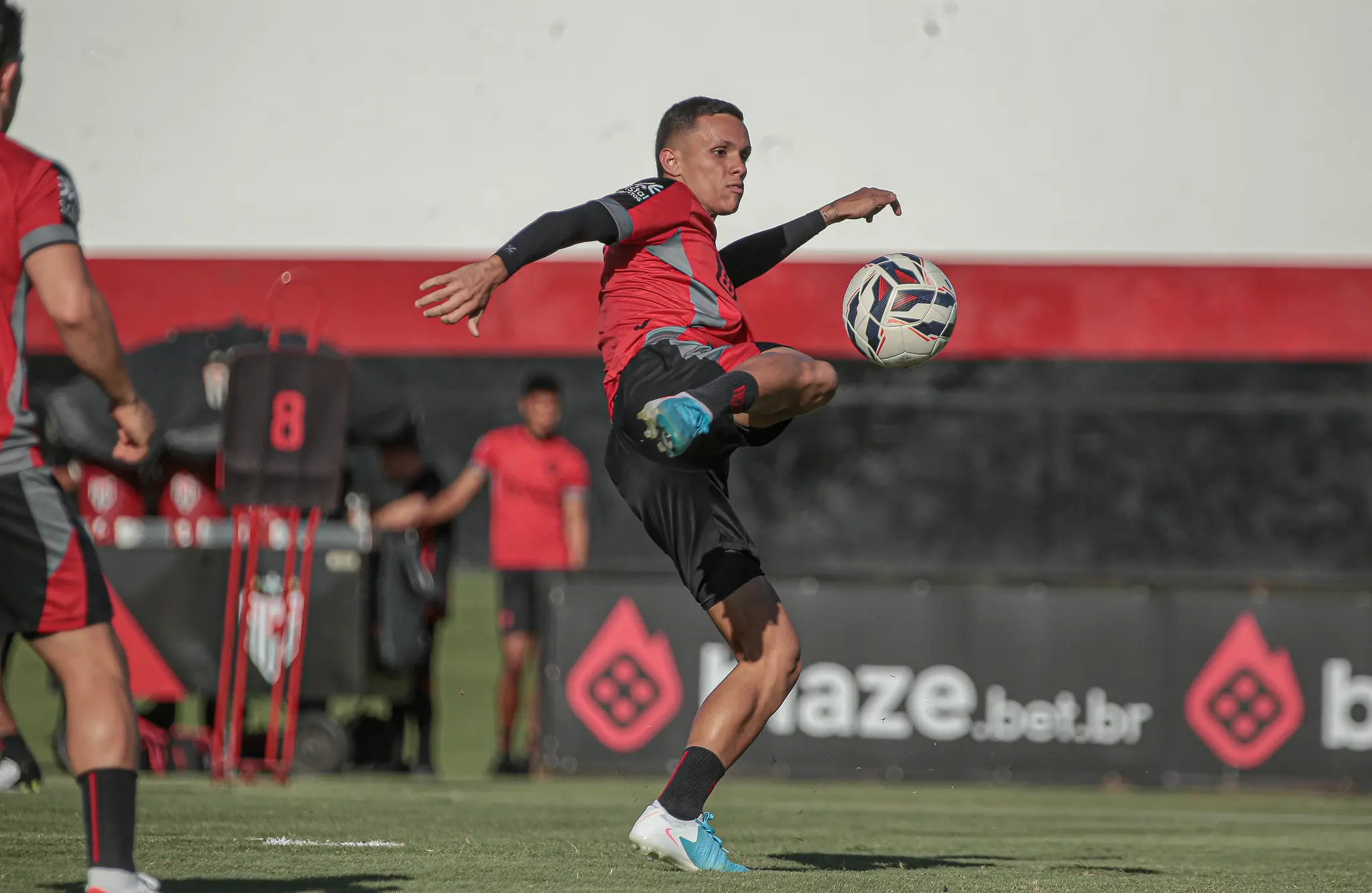 54746768511_4487934ea6_k