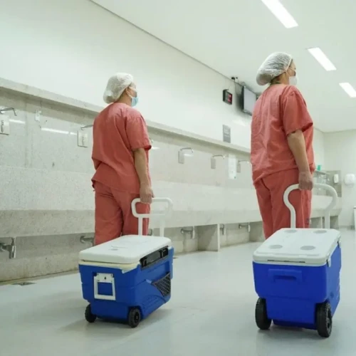 Transplante de órgãos em Goiás. Foto: SES-GO