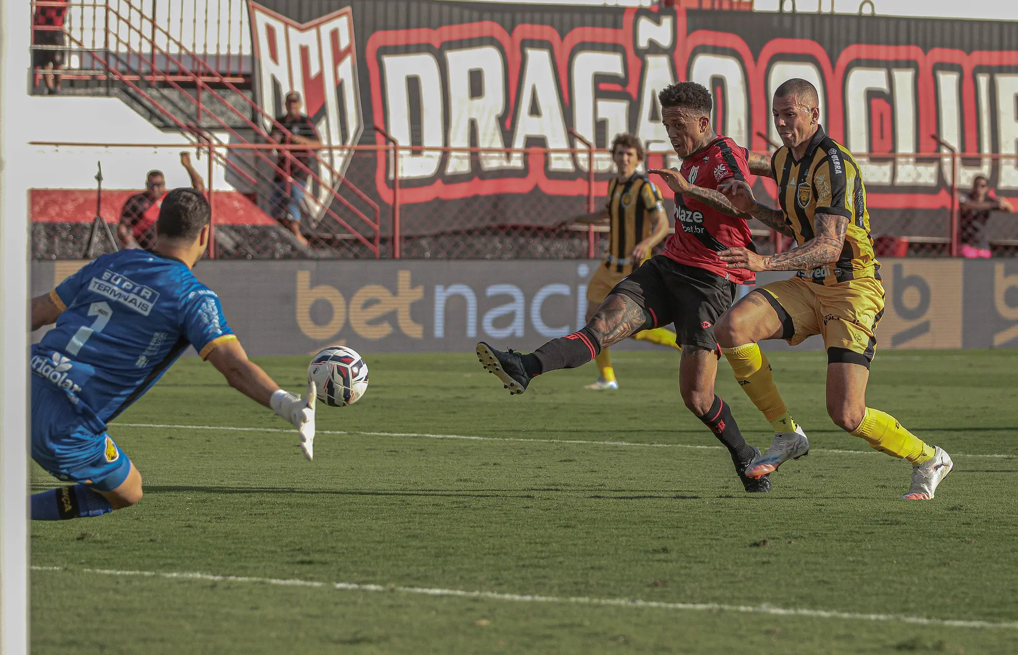 54757141288_42e5e2559b_k