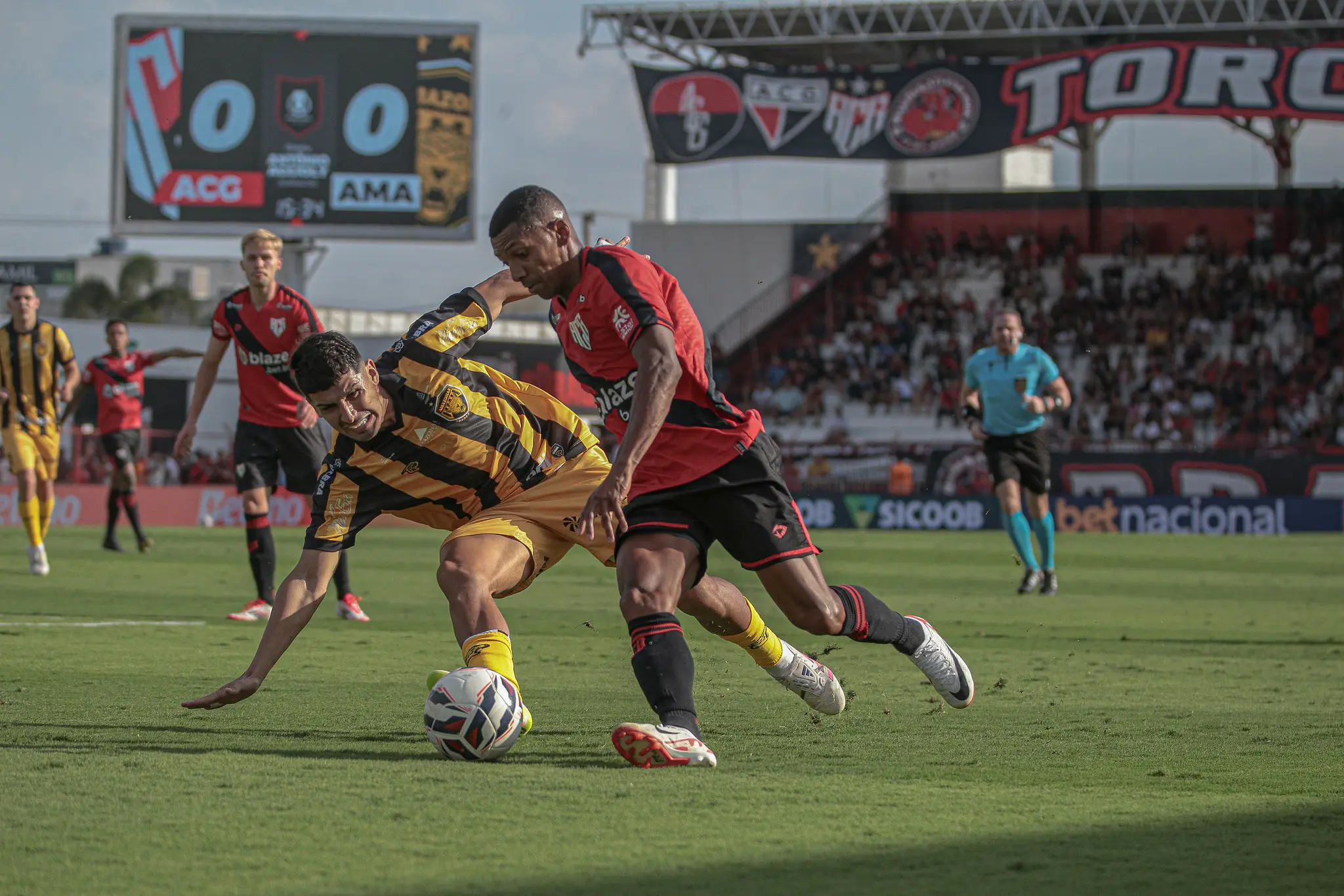 54757204520_da8ef3c640_k