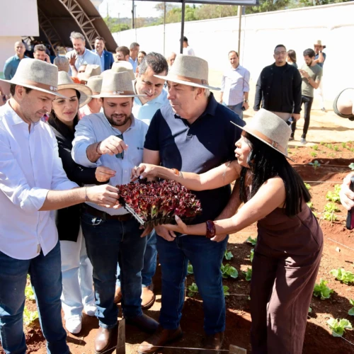 FAEG e Prefeitura de Aparecida iniciam projeto de agricultura urbana