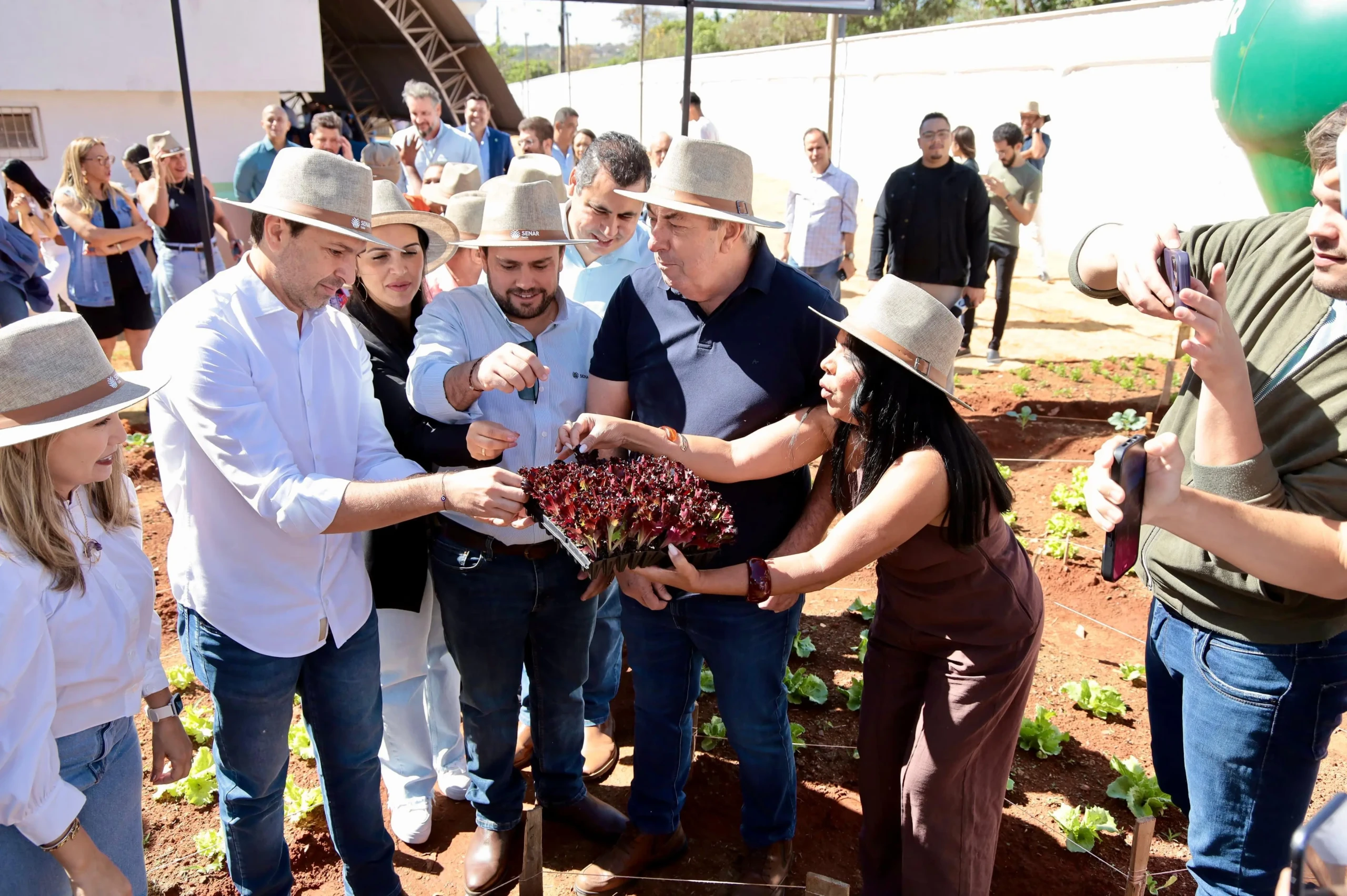 FAEG e Prefeitura de Aparecida iniciam projeto de agricultura urbana