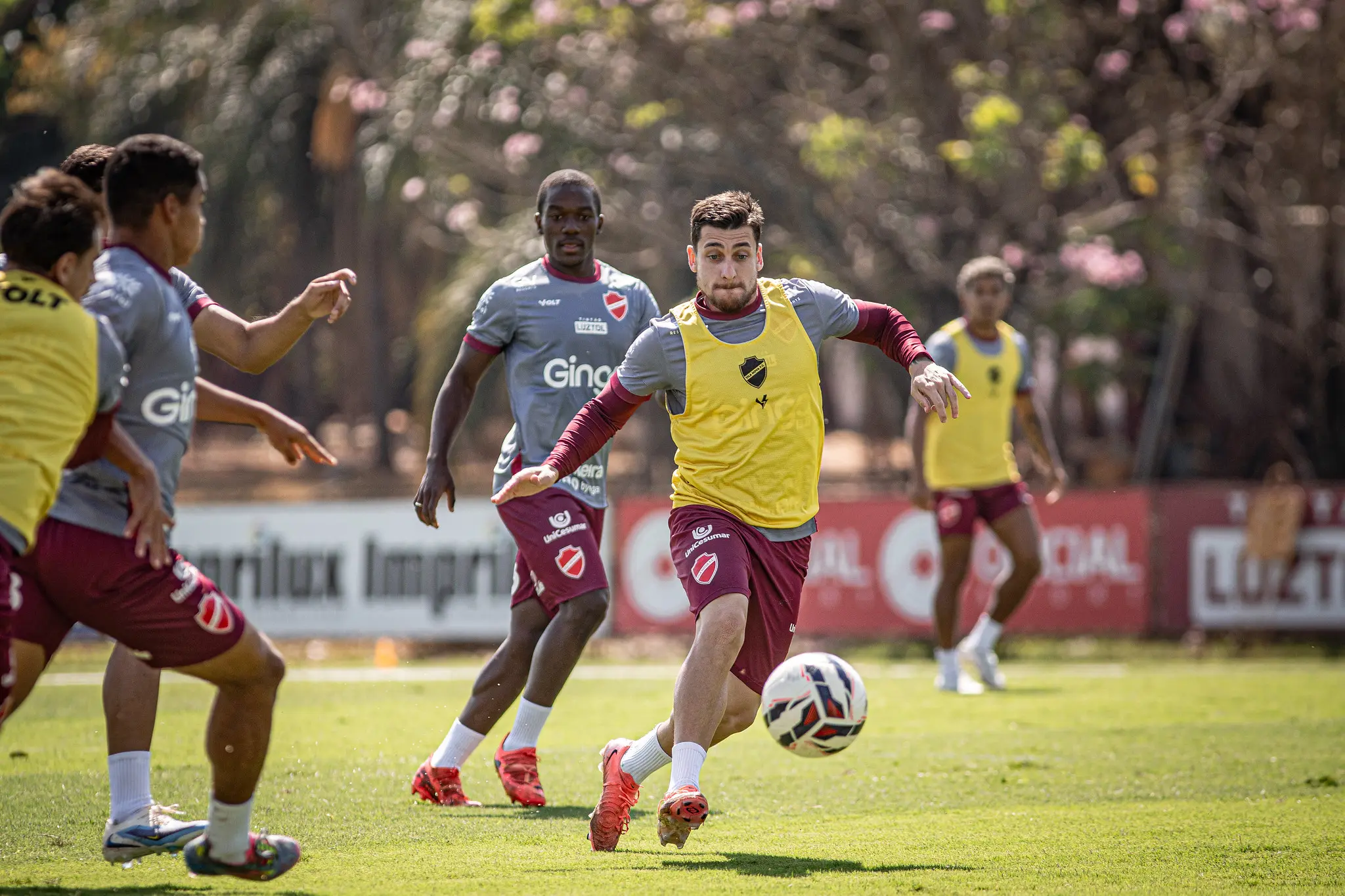 54778111946_e4b92c7e43_k