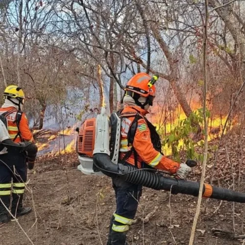 Após 33 dias, Corpo de Bombeiros declara extinto maior incêndio florestal do país em Goiás