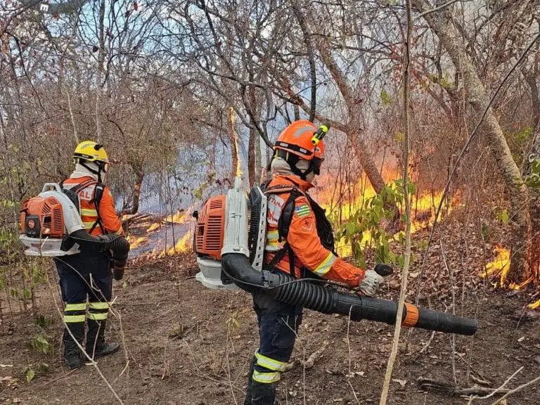 Após 33 dias, Corpo de Bombeiros declara extinto maior incêndio florestal do país em Goiás