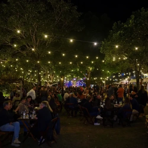 Wine Jazz chega a Goiânia com quatro dias de música, vinhos e experiências gastronômicas