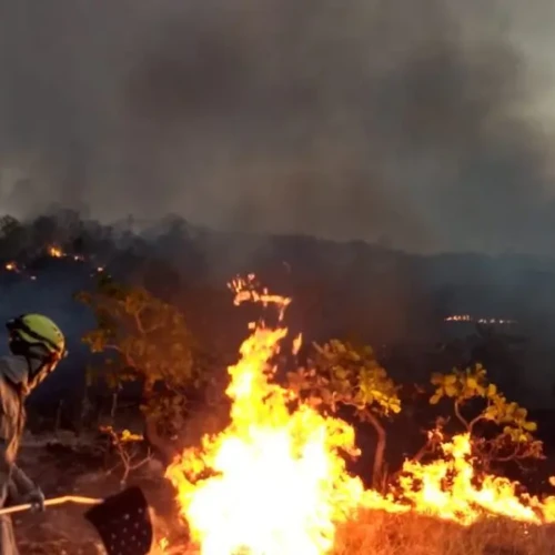 Incêndios florestais podem gerar demandas por indenização Foto arquivo Secom Goiás