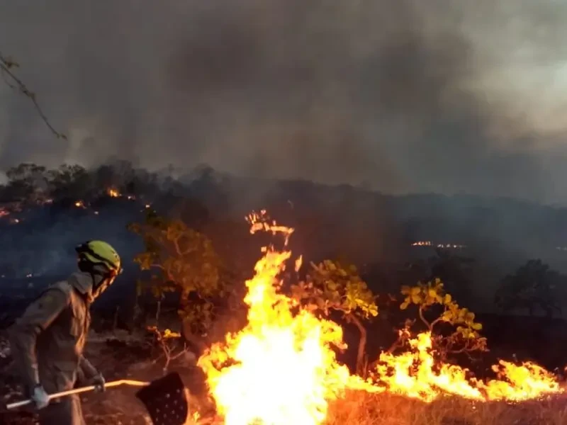 Incêndios florestais podem gerar demandas por indenização Foto arquivo Secom Goiás