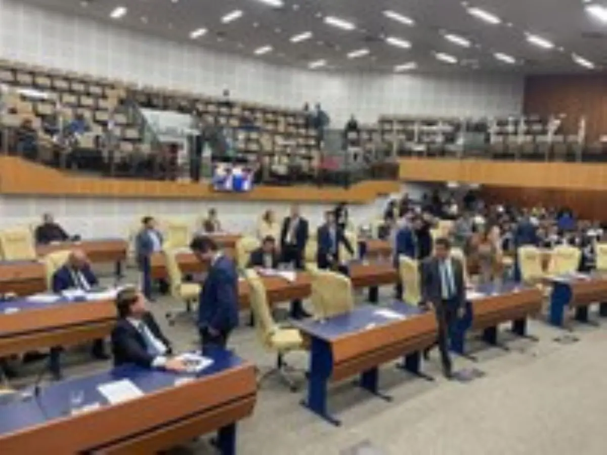 Plenário derrubou três vetos de Mabel e projetos devem ser promulgados Foto divulgação Câmara Municipal de Goiânia