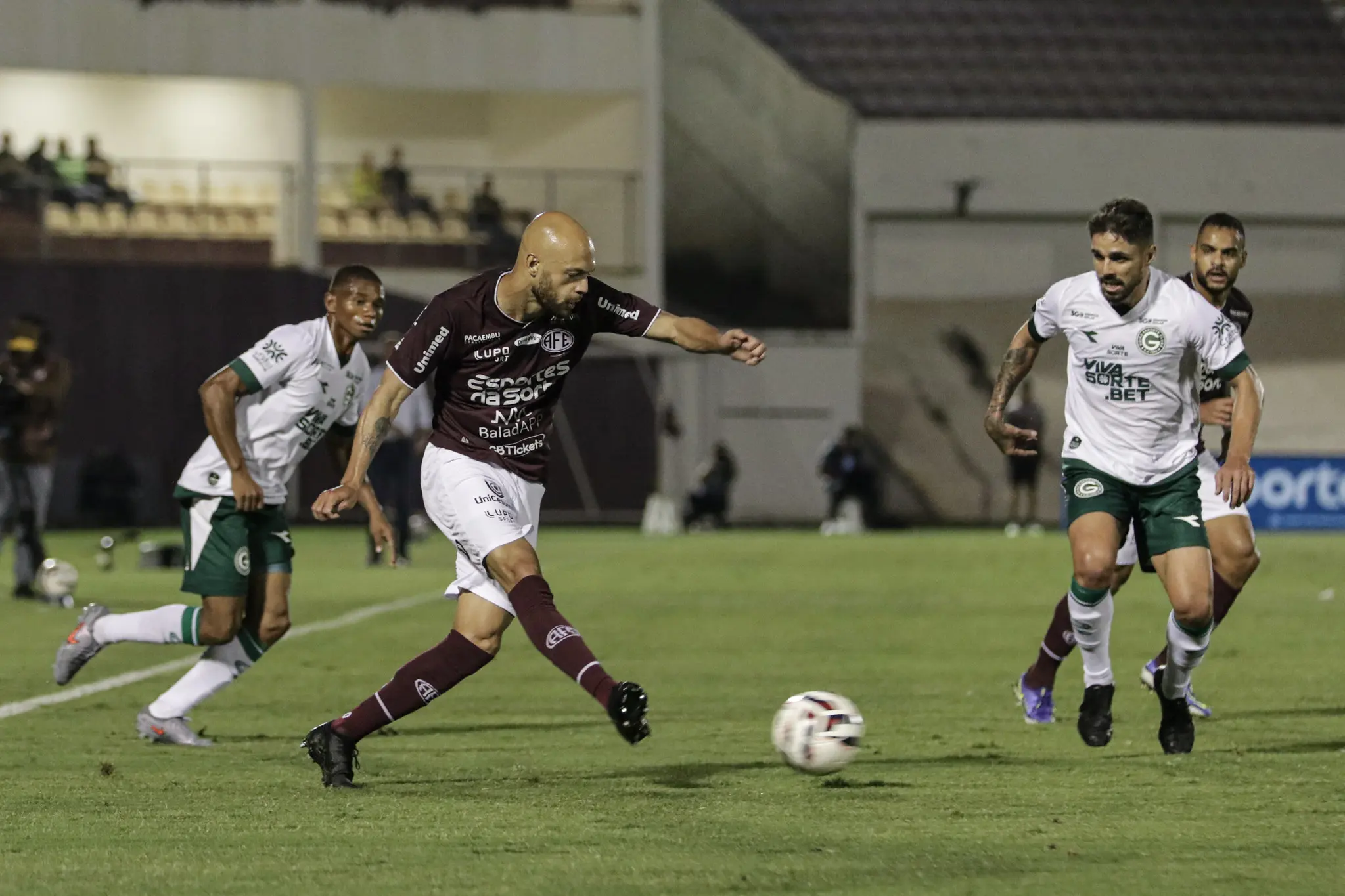 54808470938_097f693943_k