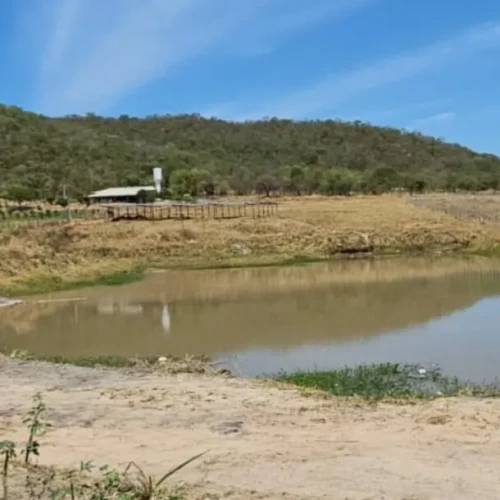 Polícia Civil deflagra operação contra degradação ambiental em córrego de Aparecida de Goiânia