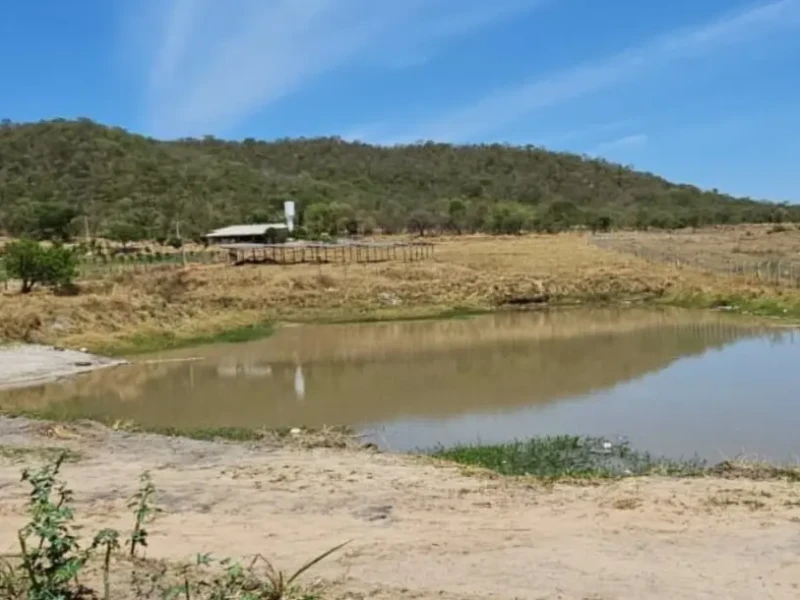 Polícia Civil deflagra operação contra degradação ambiental em córrego de Aparecida de Goiânia