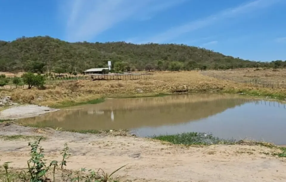 Polícia Civil deflagra operação contra degradação ambiental em córrego de Aparecida de Goiânia