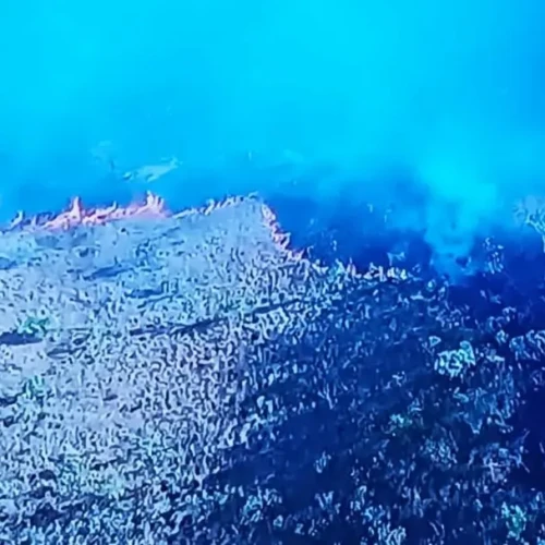 Fogo ameaça parque e reserva no Nordeste Goiano Foto reprodução Tv Anhanguera