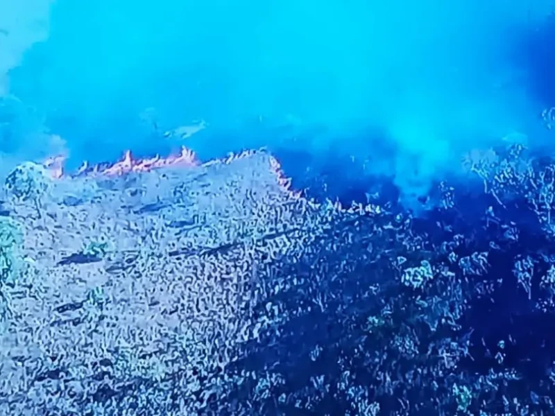 Fogo ameaça parque e reserva no Nordeste Goiano Foto reprodução Tv Anhanguera