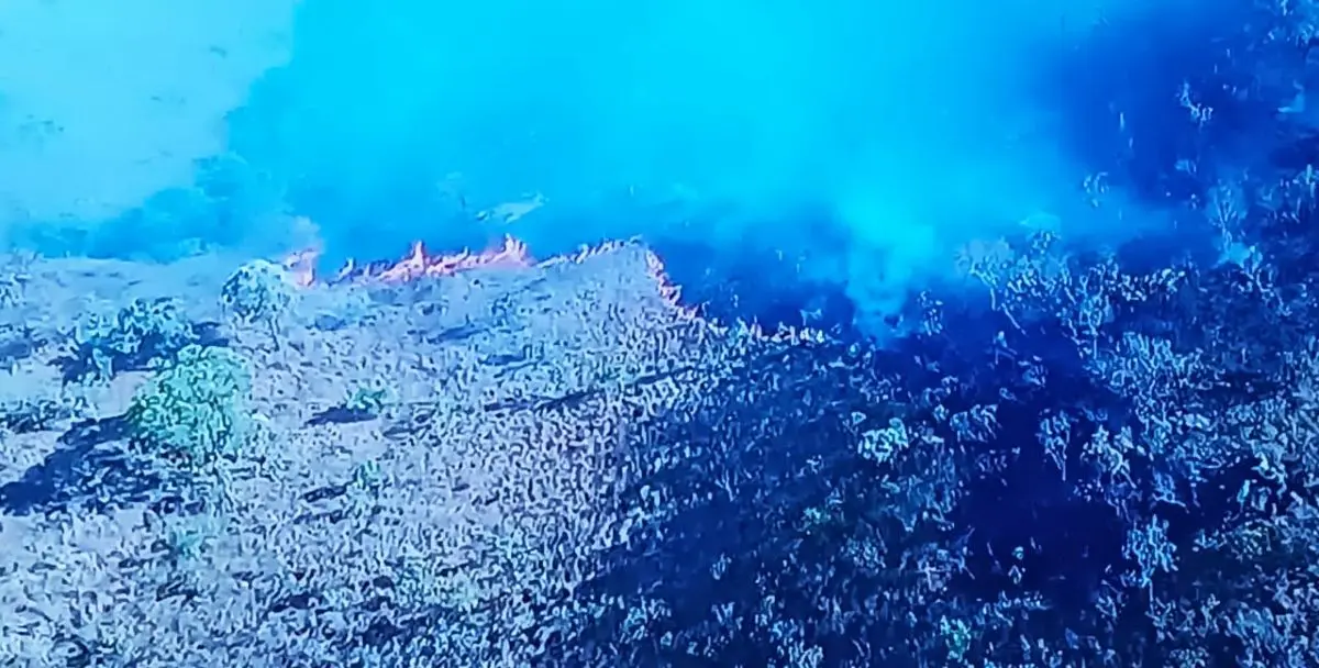 Fogo ameaça parque e reserva no Nordeste Goiano Foto reprodução Tv Anhanguera