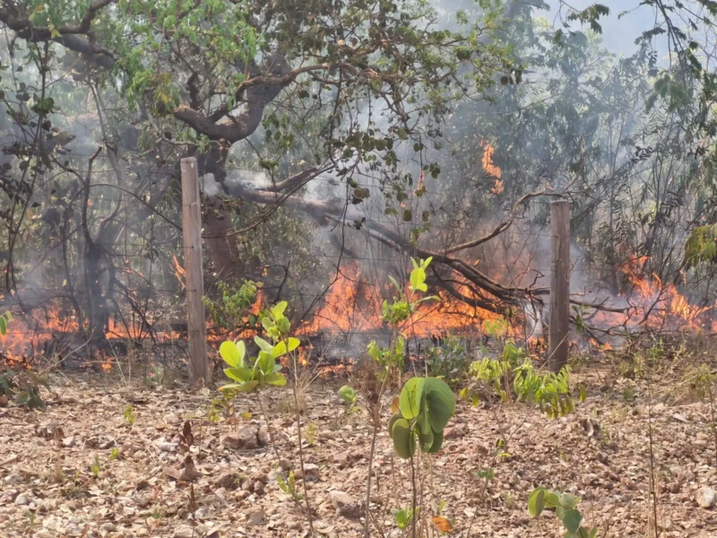Incêndio na Chapada dos Veadeiros destrói mais de 3 mil hectares e mobiliza equipes de combate
