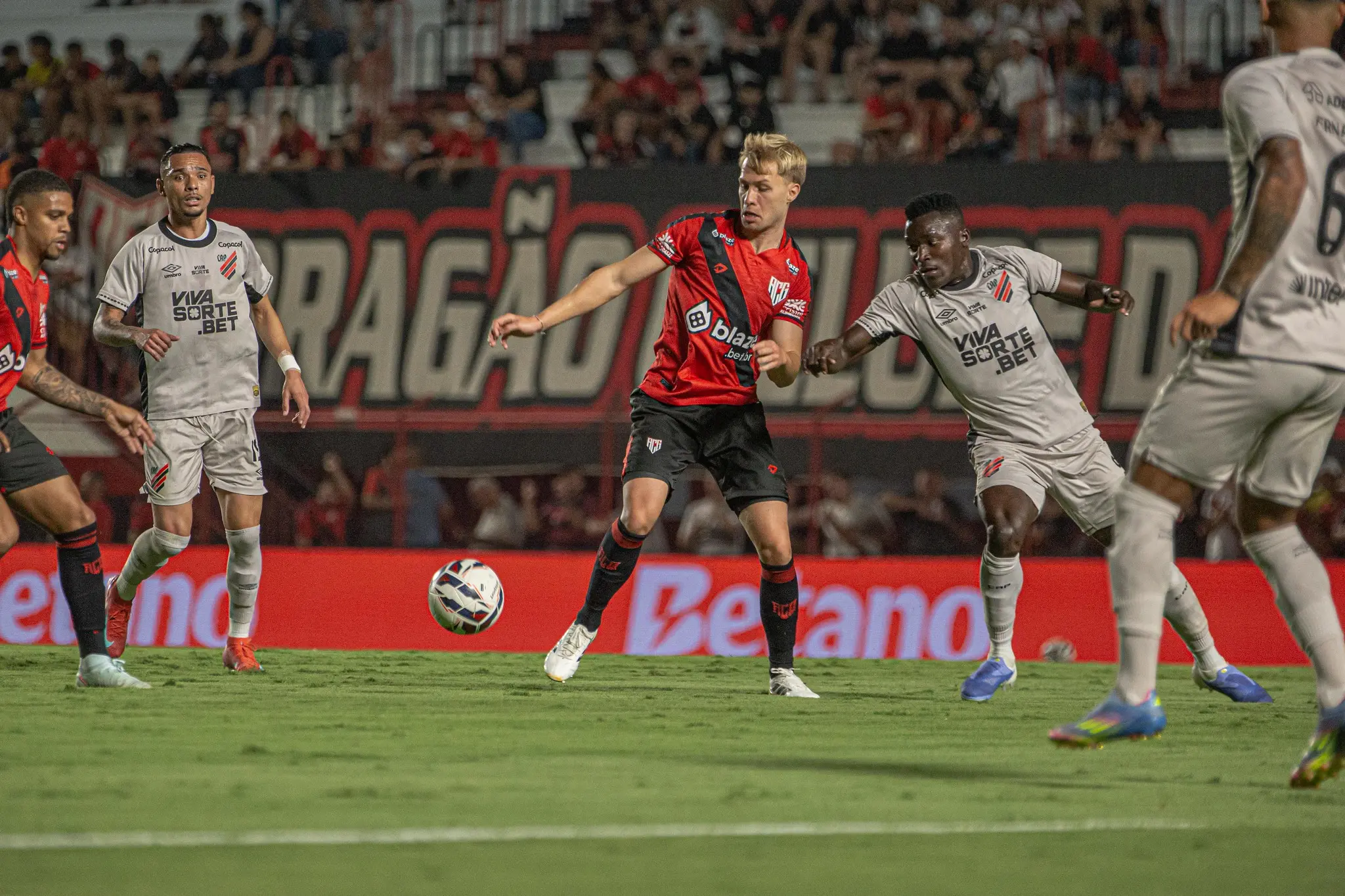 54834025627_053dc83f1b_k