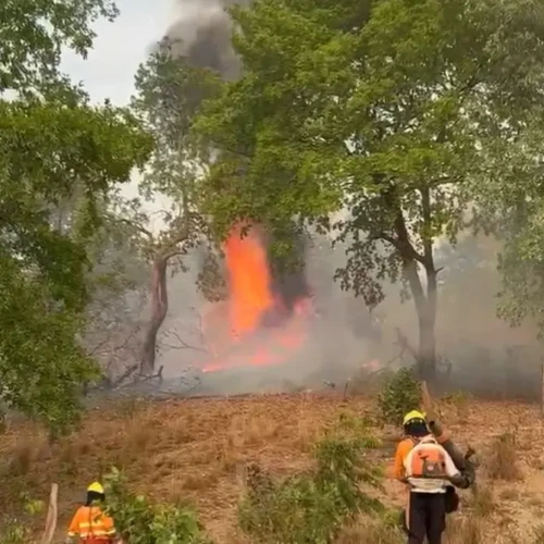 Bombeiros mantêm combate a incêndios florestais em Cavalcante e Colinas do Sul