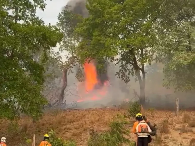 Bombeiros mantêm combate a incêndios florestais em Cavalcante e Colinas do Sul