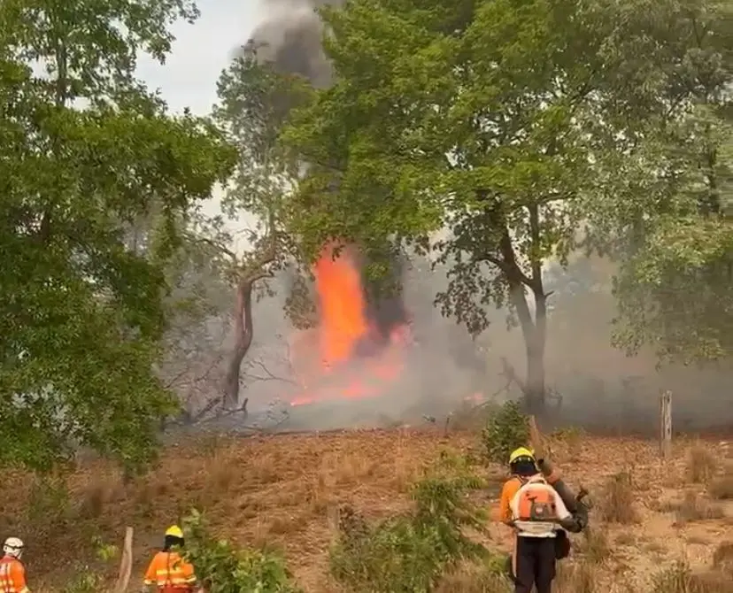 Bombeiros mantêm combate a incêndios florestais em Cavalcante e Colinas do Sul
