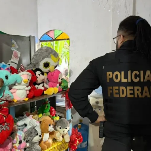 Agentes flagraram brinquedos usados para atrair as vítimas Foto divulgação PF