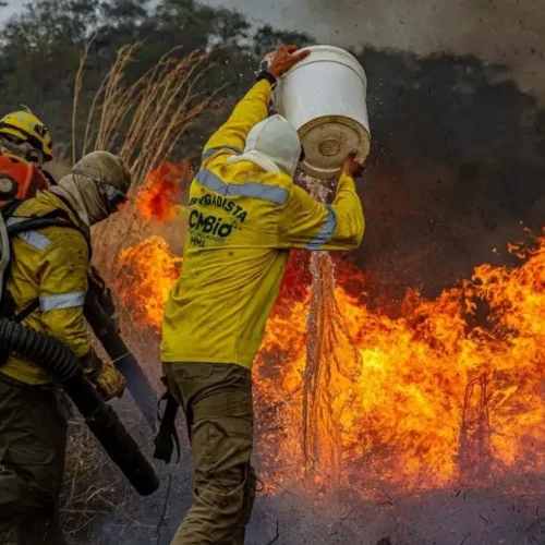 Trabalho árduo só amenizou com chegada das chuvas - Foto Mayandi Inzaulgarat ICMBio
