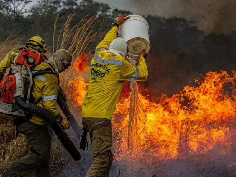 Trabalho árduo só amenizou com chegada das chuvas - Foto Mayandi Inzaulgarat ICMBio