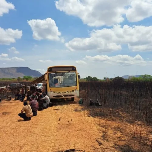 Fiscalização federal combate trabalho análogo à escravidão e resgata 108 pessoas em Goiás