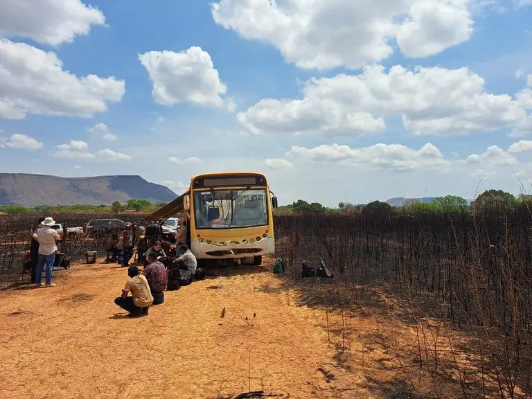 Fiscalização federal combate trabalho análogo à escravidão e resgata 108 pessoas em Goiás
