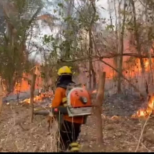 Linha de fogo sai da Chapada dos Veadeiros e alcança TI Avá Canoeiro em Minaçu Foto Corpo de Bombeiros