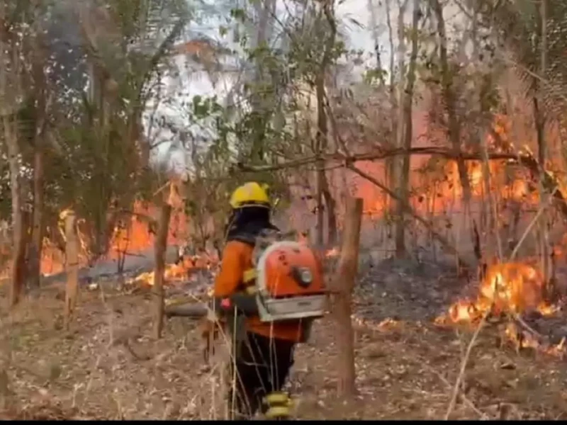 Linha de fogo sai da Chapada dos Veadeiros e alcança TI Avá Canoeiro em Minaçu Foto Corpo de Bombeiros