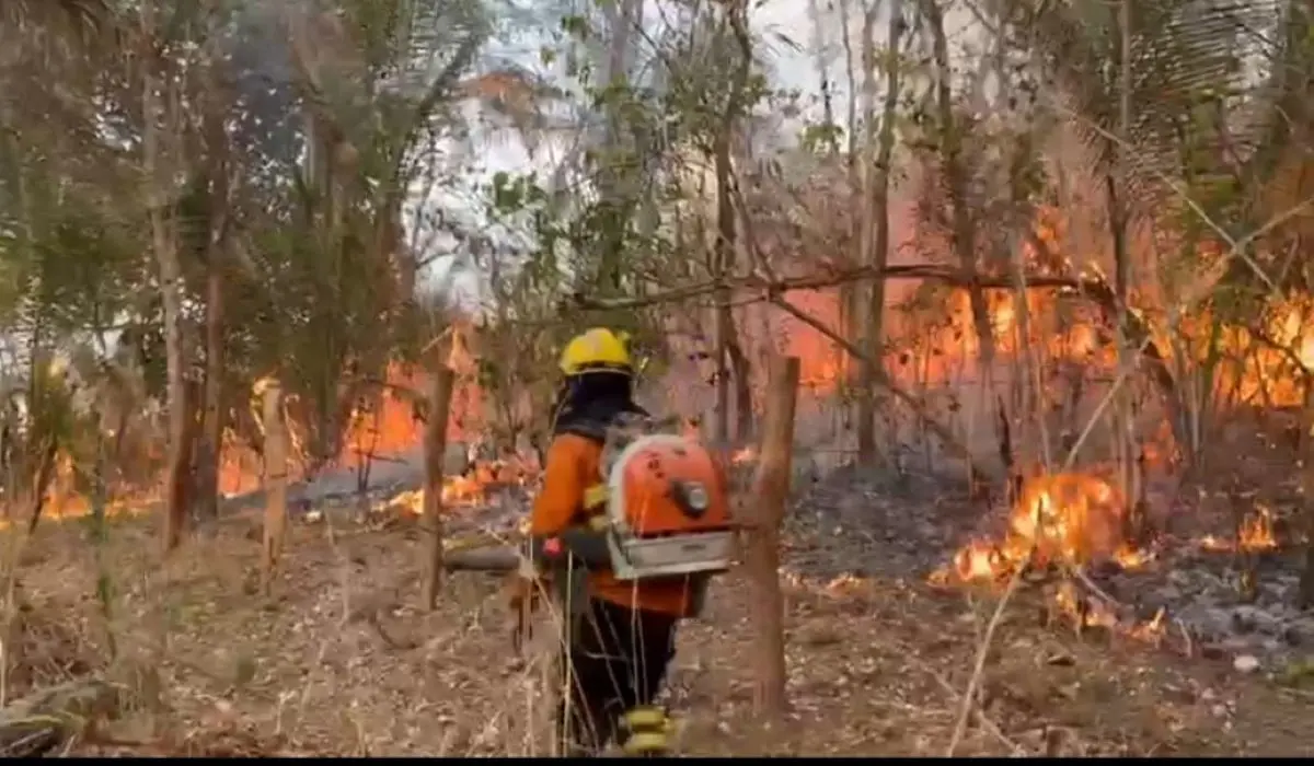 Linha de fogo sai da Chapada dos Veadeiros e alcança TI Avá Canoeiro em Minaçu Foto Corpo de Bombeiros