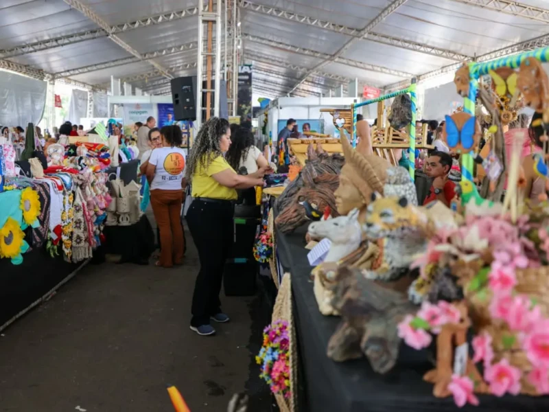 Produtos de 16 cidades estão expostos e à venda até domingo na feira - Foto Lucas Diener e Benedito Braga