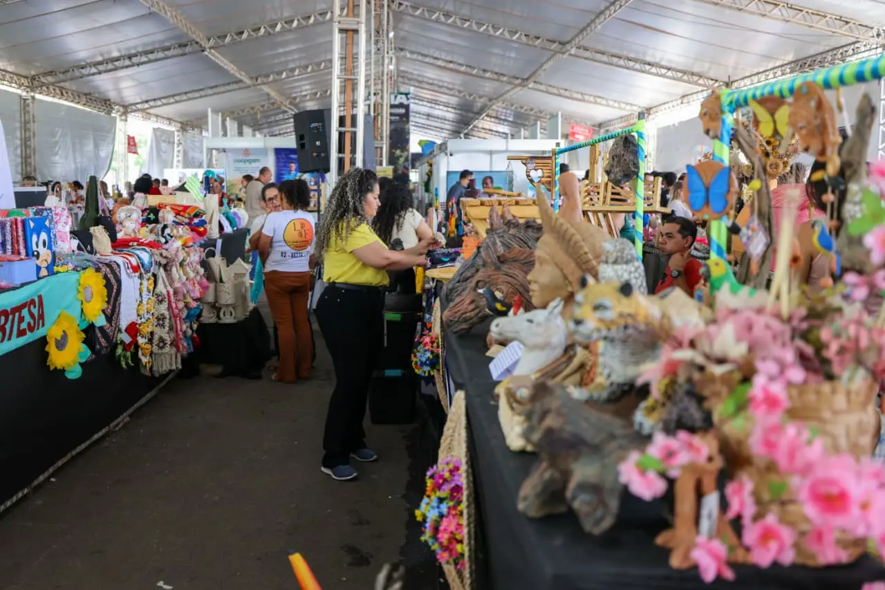 Produtos de 16 cidades estão expostos e à venda até domingo na feira - Foto Lucas Diener e Benedito Braga