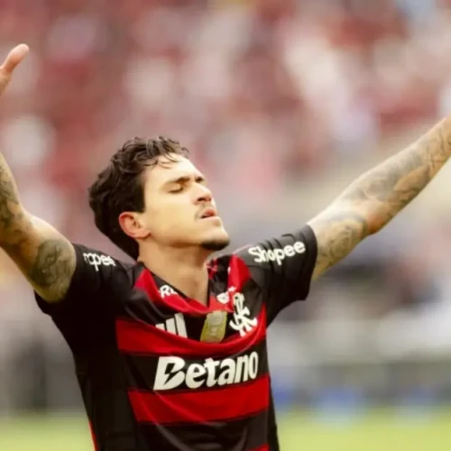 Pedro - Flamengo