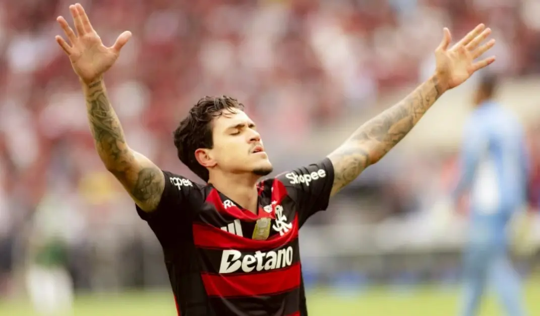 Pedro - Flamengo