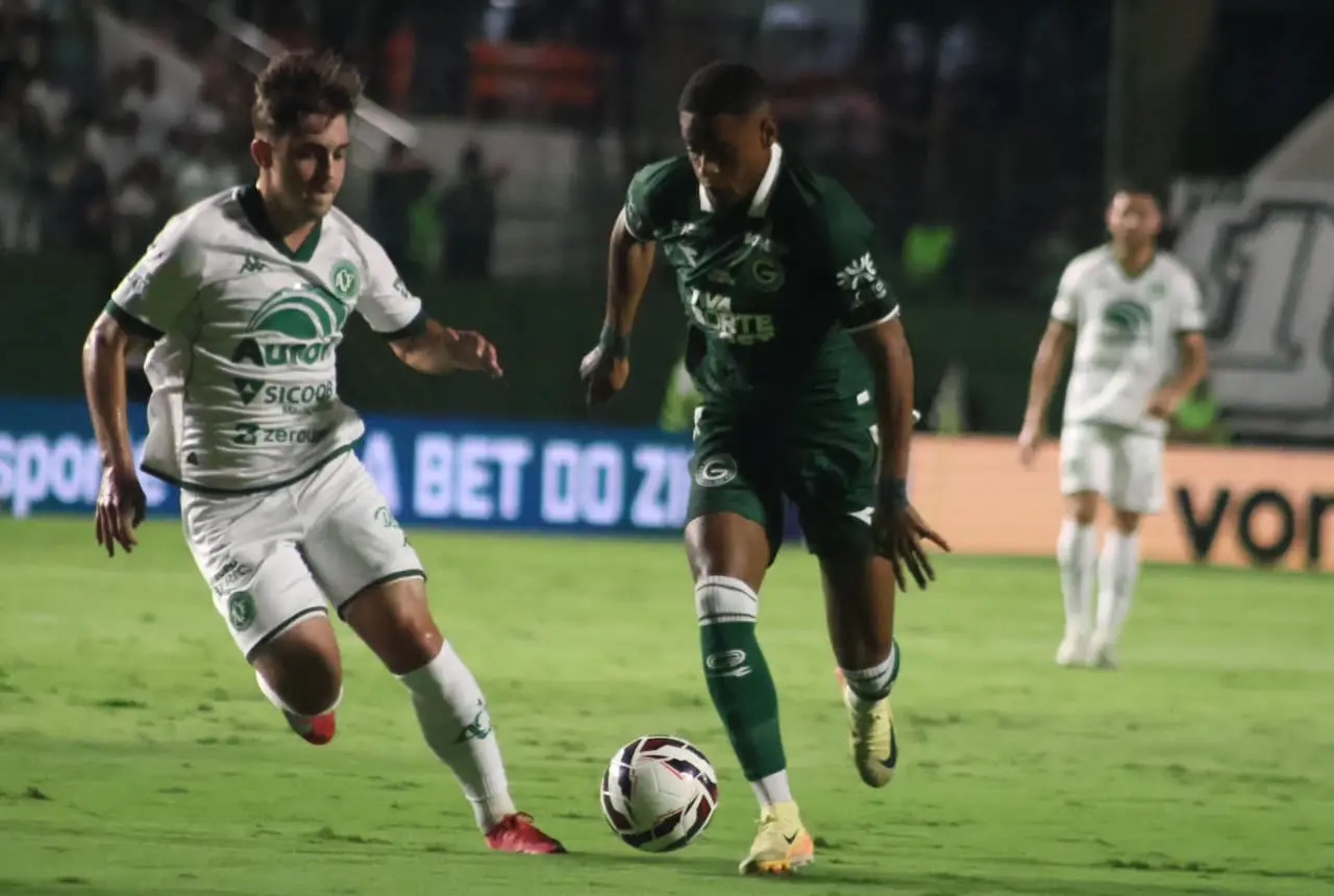 WhatsApp Image 2025-10-19 at 22.06.42 (1)