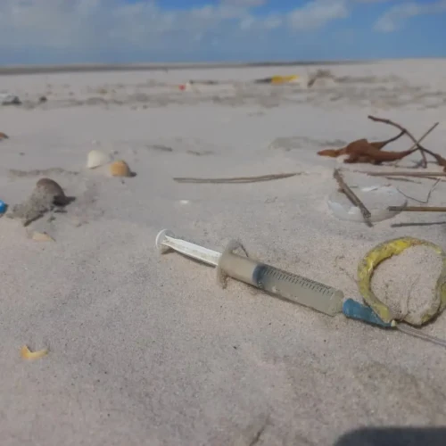 Praias contaminadas - Fapeg