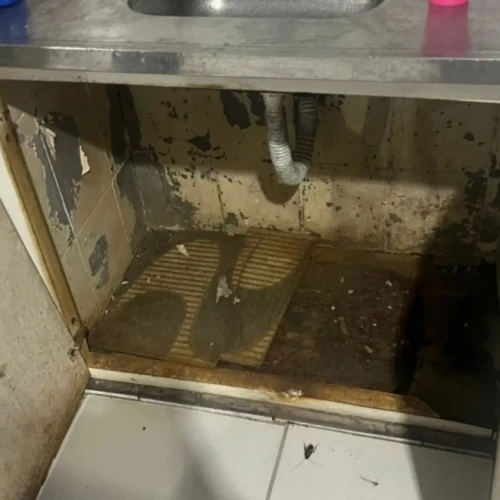 Vasilhas e móveis sujos e baratas no chão foram encontrados no buffet - Foto Polícia Civil