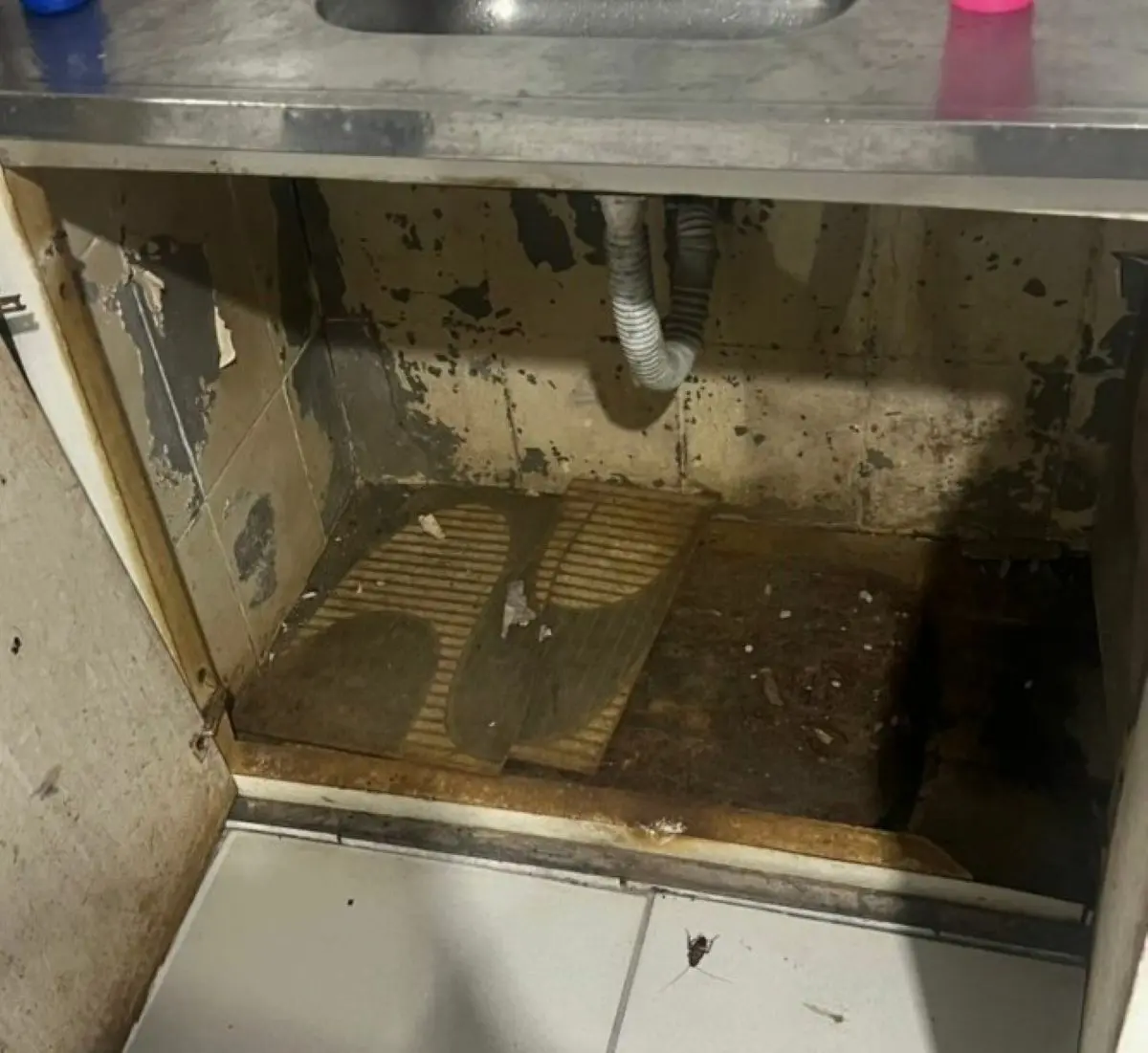 Vasilhas e móveis sujos e baratas no chão foram encontrados no buffet - Foto Polícia Civil