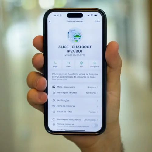 Atendimento virtual do IPVA via WhatsApp é suspenso temporariamente após denúncias de fraude