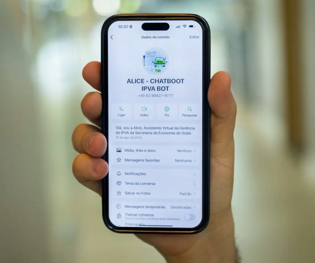 Atendimento virtual do IPVA via WhatsApp é suspenso temporariamente após denúncias de fraude